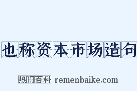 也称资本市场造句是什么意思的图片